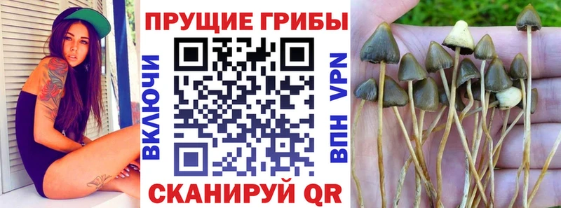 Галлюциногенные грибы мицелий  Купить где  Белоусово 